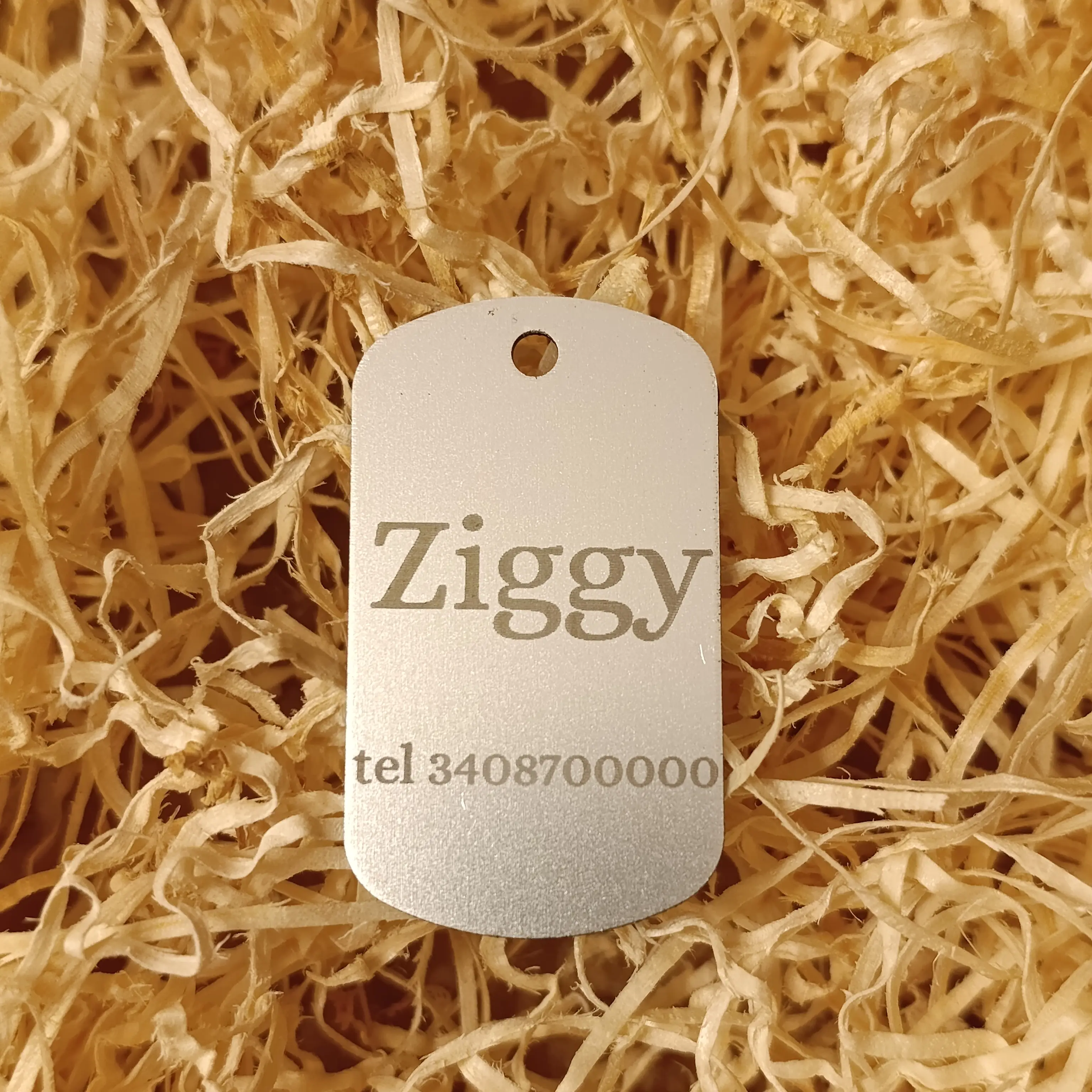 Targhetta cane in metallo a forma rettangolare