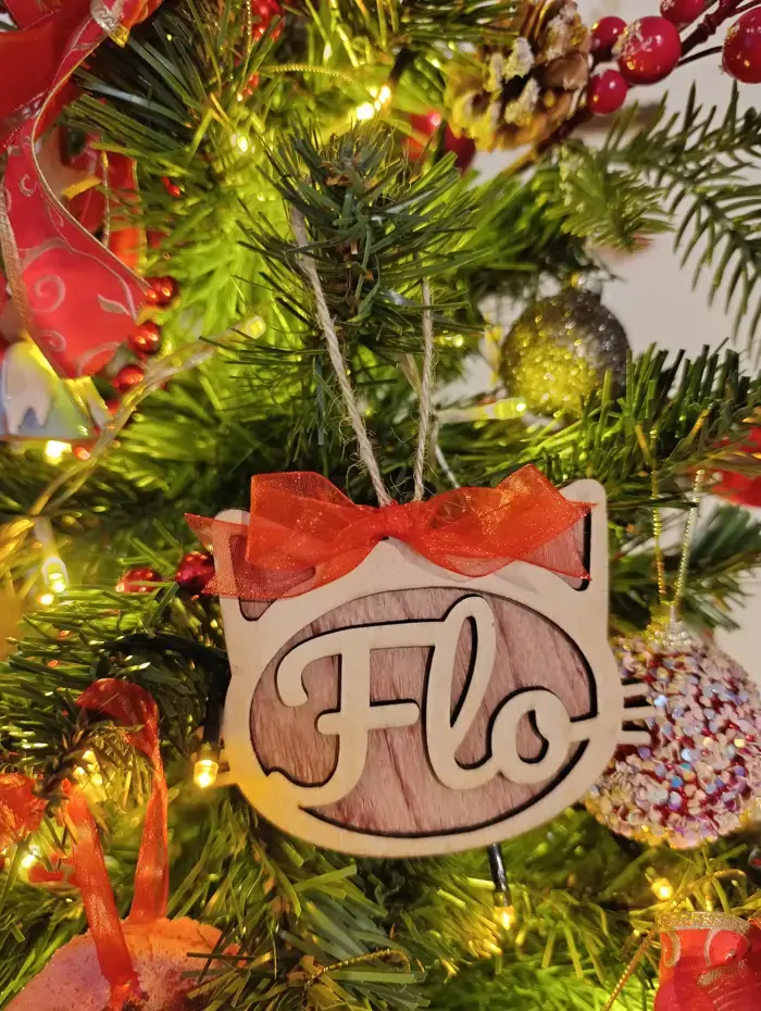 Pallina di Natale personalizzabile - gatto